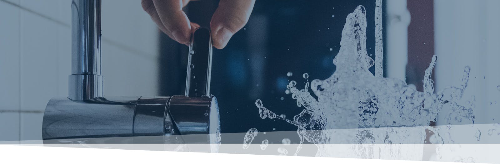 Service item page header